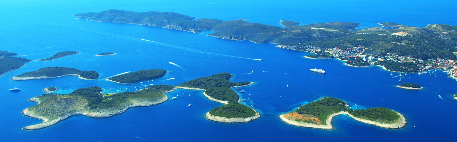 Learning from the history of tolerance